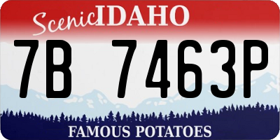 ID license plate 7B7463P