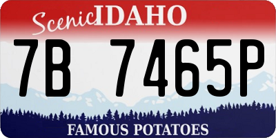 ID license plate 7B7465P