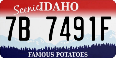 ID license plate 7B7491F