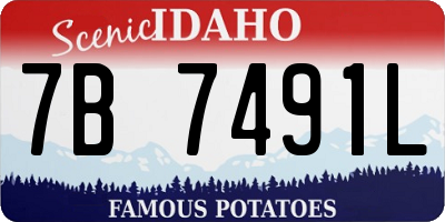 ID license plate 7B7491L