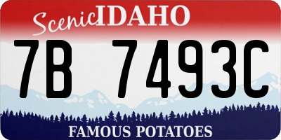 ID license plate 7B7493C