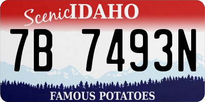 ID license plate 7B7493N