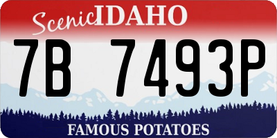 ID license plate 7B7493P