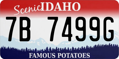 ID license plate 7B7499G