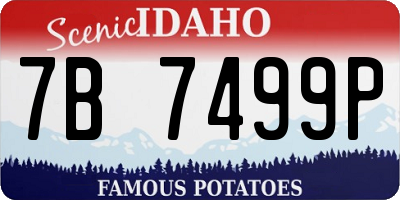 ID license plate 7B7499P