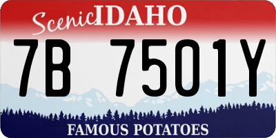 ID license plate 7B7501Y