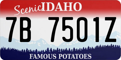 ID license plate 7B7501Z
