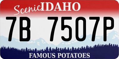 ID license plate 7B7507P