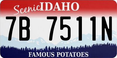 ID license plate 7B7511N