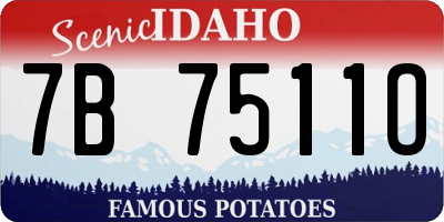 ID license plate 7B7511O