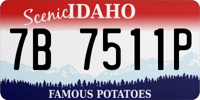 ID license plate 7B7511P