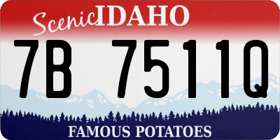 ID license plate 7B7511Q