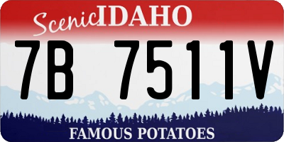 ID license plate 7B7511V