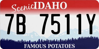ID license plate 7B7511Y