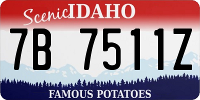 ID license plate 7B7511Z