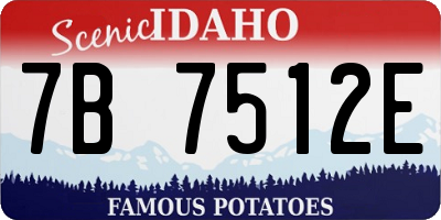 ID license plate 7B7512E