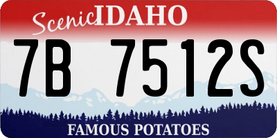 ID license plate 7B7512S