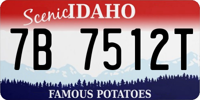 ID license plate 7B7512T