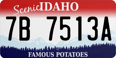 ID license plate 7B7513A