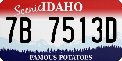 ID license plate 7B7513D