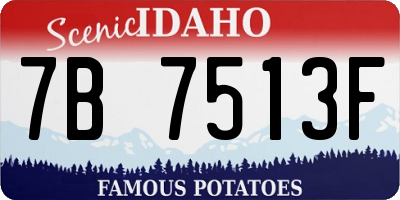 ID license plate 7B7513F