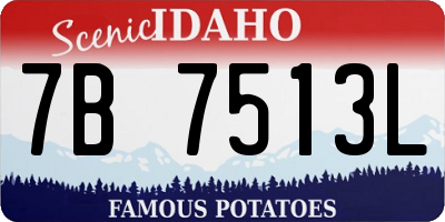 ID license plate 7B7513L
