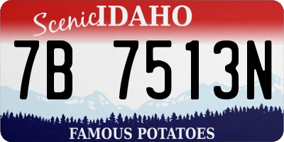 ID license plate 7B7513N