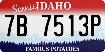 ID license plate 7B7513P