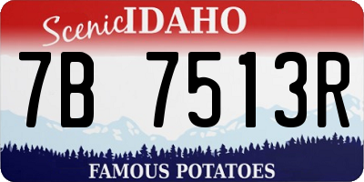 ID license plate 7B7513R