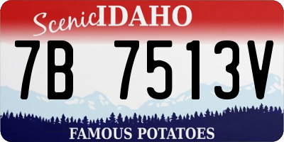 ID license plate 7B7513V