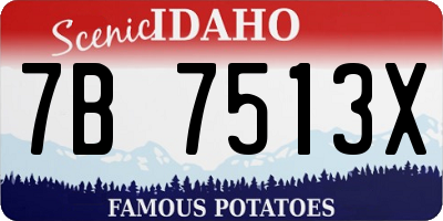 ID license plate 7B7513X