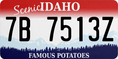 ID license plate 7B7513Z