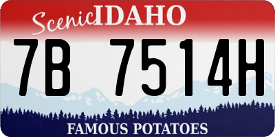 ID license plate 7B7514H