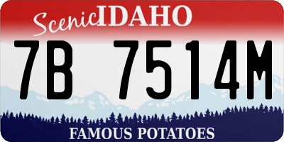 ID license plate 7B7514M