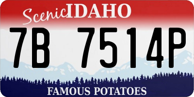 ID license plate 7B7514P