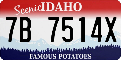 ID license plate 7B7514X
