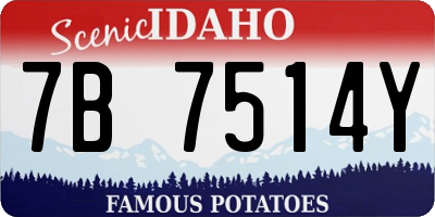 ID license plate 7B7514Y