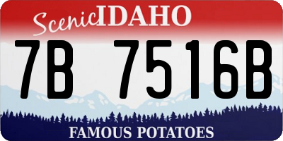 ID license plate 7B7516B