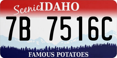 ID license plate 7B7516C