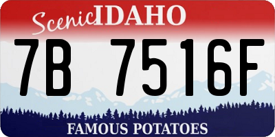 ID license plate 7B7516F