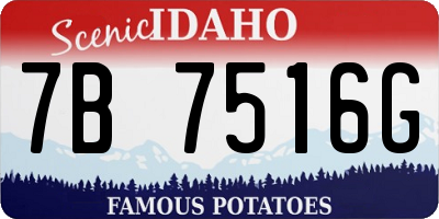 ID license plate 7B7516G