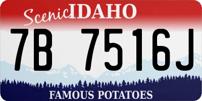 ID license plate 7B7516J