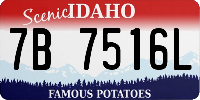 ID license plate 7B7516L