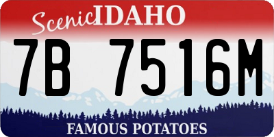 ID license plate 7B7516M