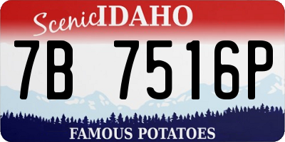 ID license plate 7B7516P
