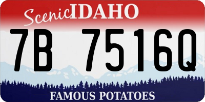 ID license plate 7B7516Q
