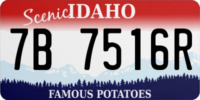 ID license plate 7B7516R