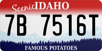 ID license plate 7B7516T