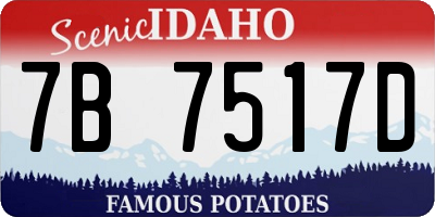 ID license plate 7B7517D