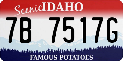 ID license plate 7B7517G